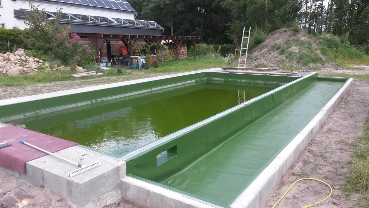 Schwimmteich 1.0