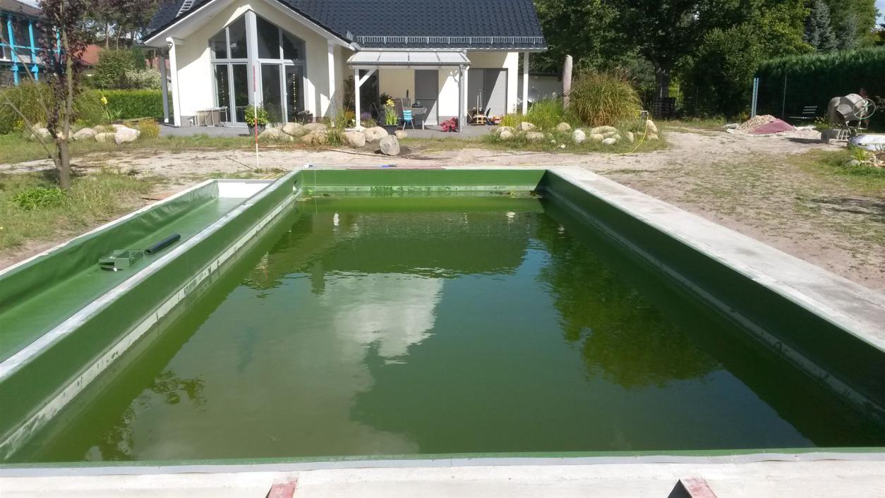Schwimmteich 1.1
