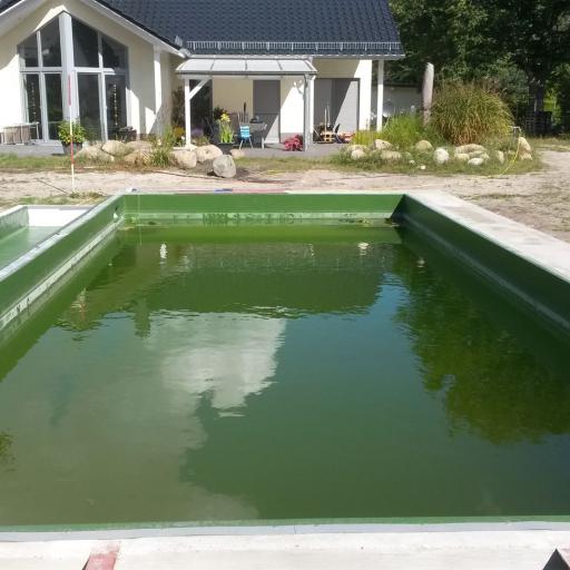 Schwimmteich